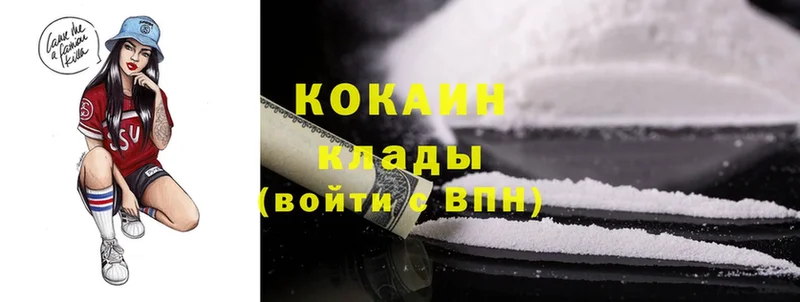 Cocaine FishScale  как найти закладки  Бологое 